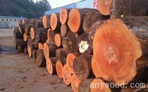 批木网 anywood.com