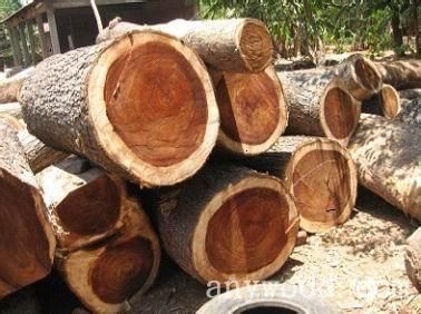 批木网 anywood.com
