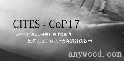 批木网anywood.com
