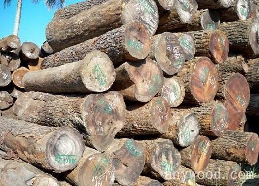 批木网 anywood.com