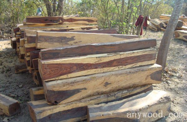 批木网anywood.com