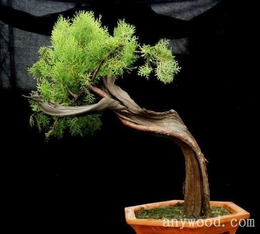 批木网anywood.com