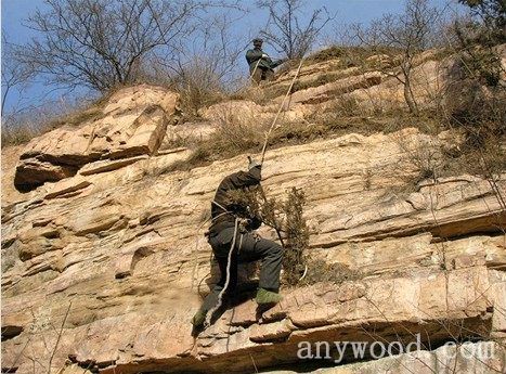 批木网anywood.com