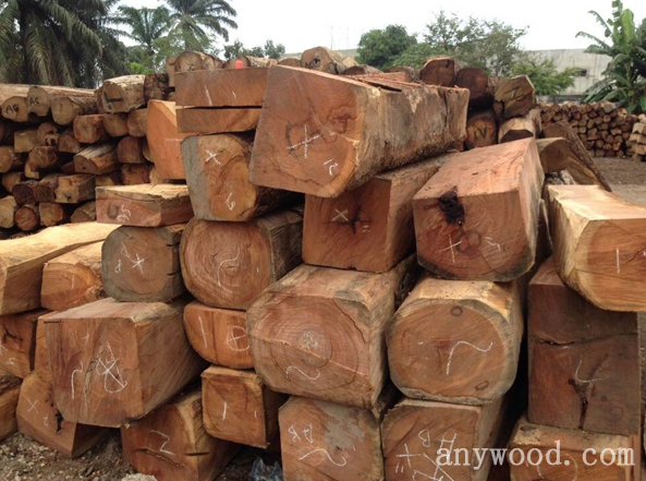 批木网 anywood.com
