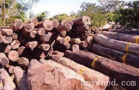 批木网anywood.com