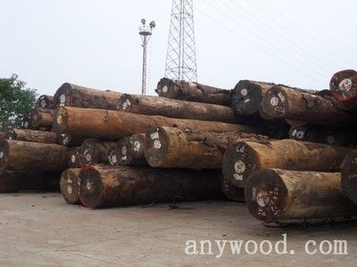 批木网anywood.com