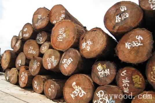 批木网 anywood.com