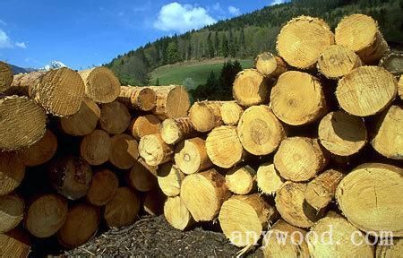 批木网 anywood.com