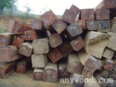 批木网 anywood.com