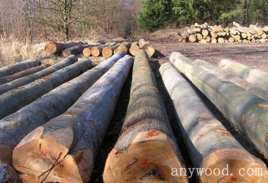 批木网 anywood.com