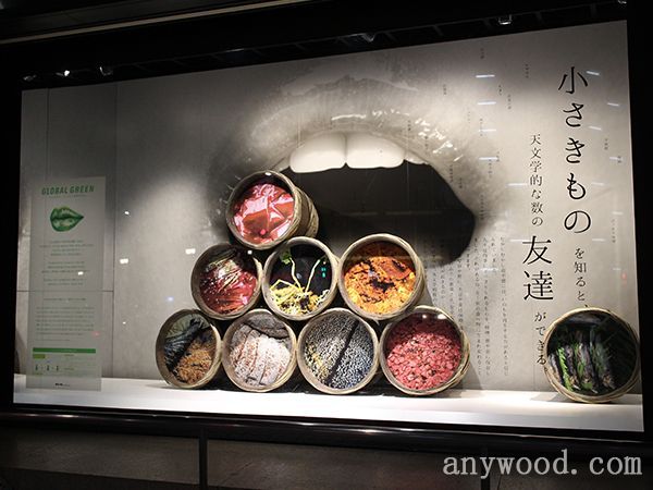批木网anywood.com