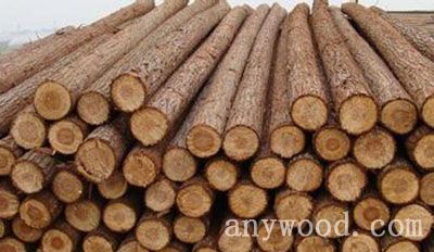 批木网 anywood.com