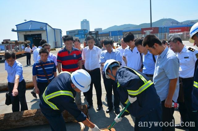 批木网 anywood.com