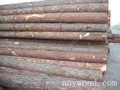 批木网 anywood.com