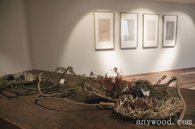 批木网 anywood.com