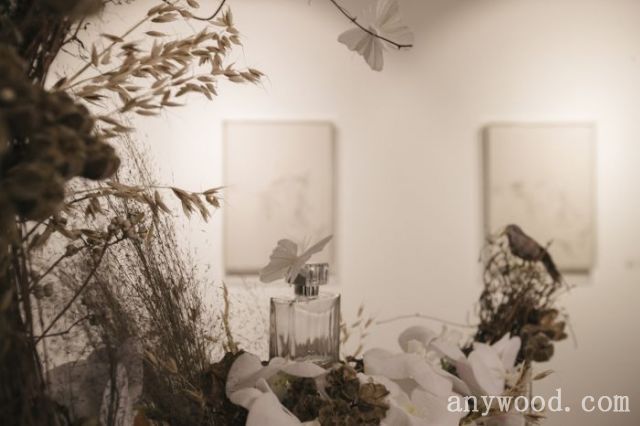 批木网 anywood.com