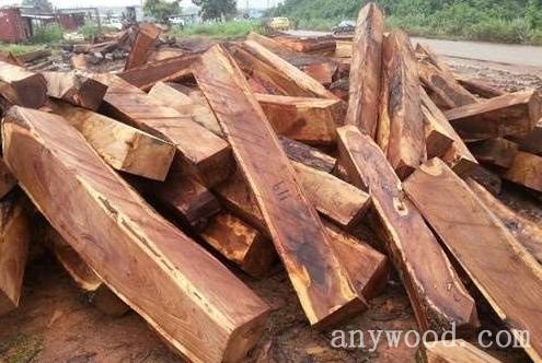 批木网 anywood.com