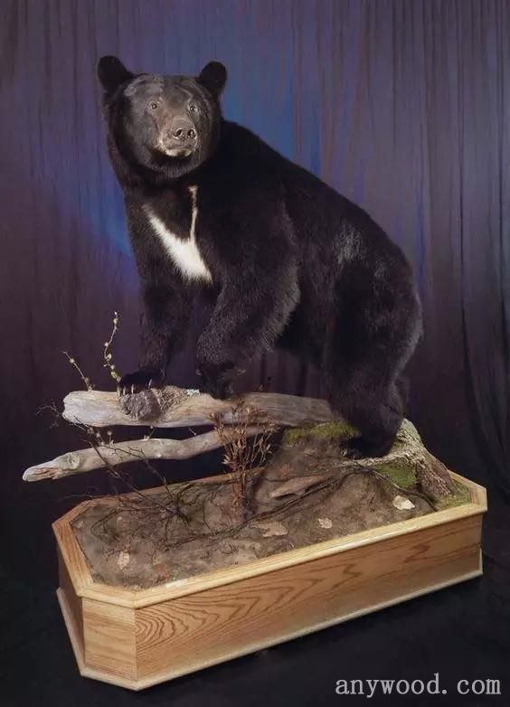 批木网 anywood.com