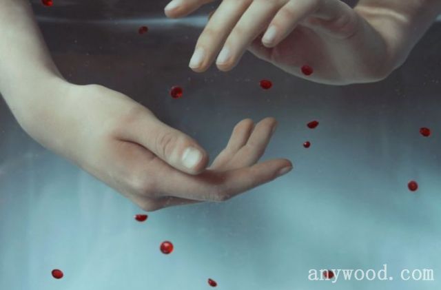 批木网 anywood.com