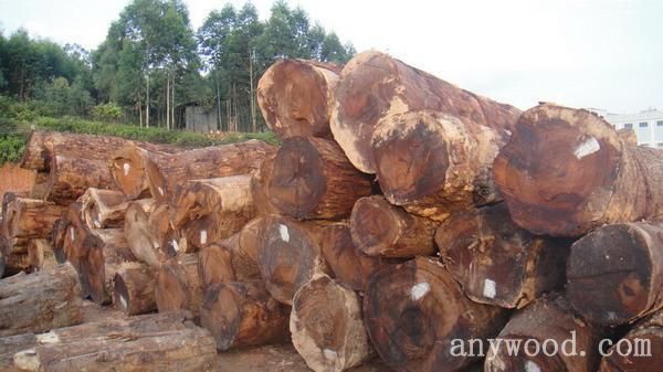 批木网anywood.com