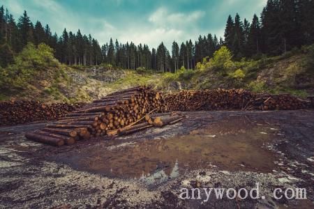 批木网 anywood.com