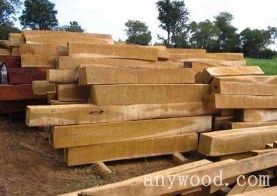 批木网 anywood.com