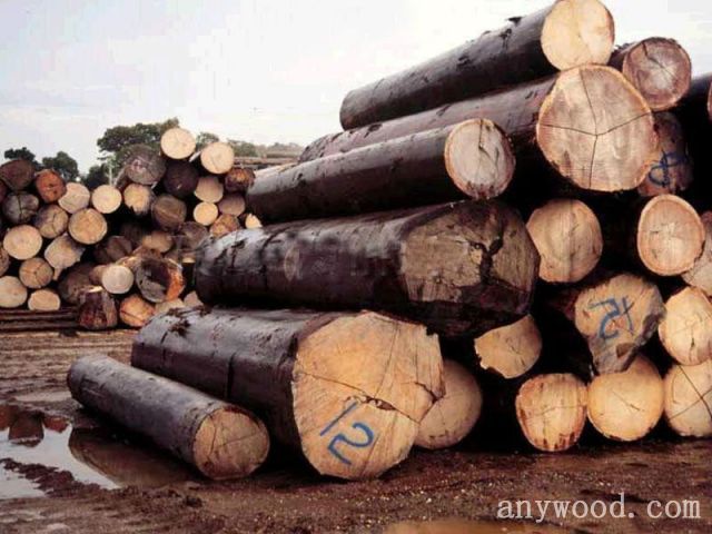 批木网 anywood.com