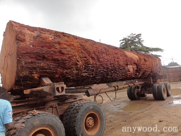 批木网 anywood.com