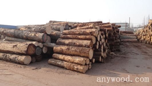 批木网 anywood.com