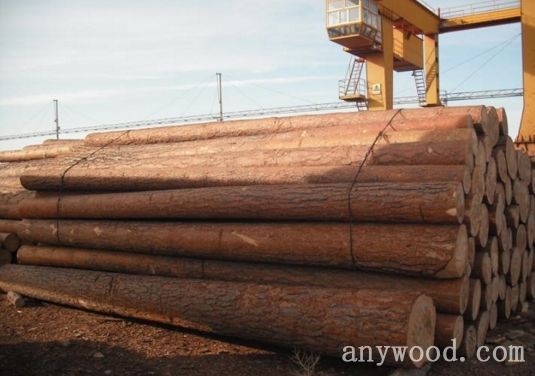 批木网 anywood.com
