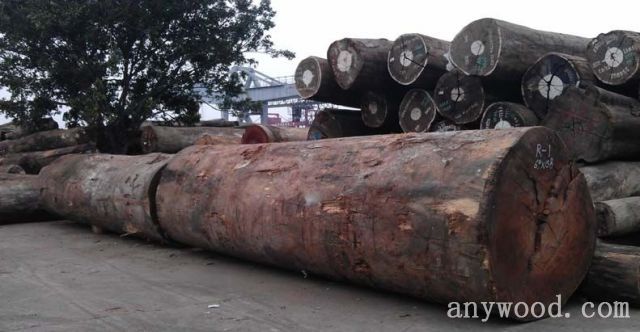 批木网anywood.com