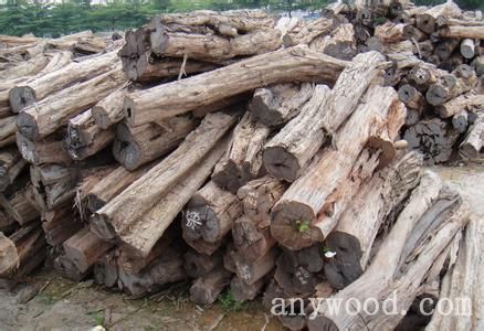 批木网 anywood.com