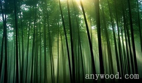 批木网 anywood.com