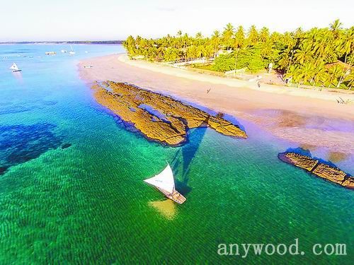批木网 anywood.com