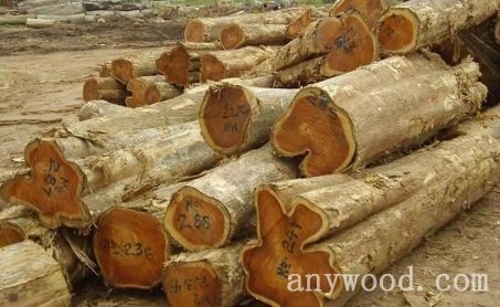 批木网 anywood.com