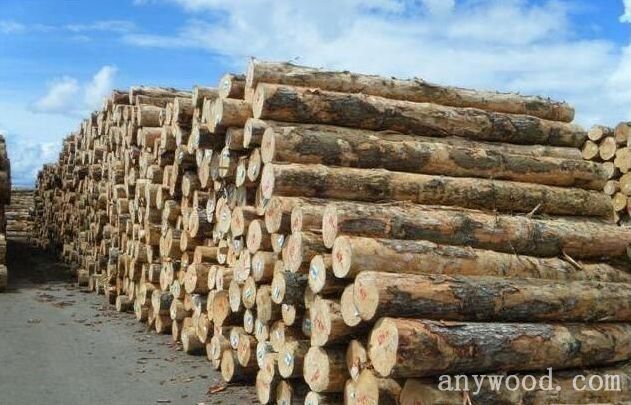原木供应不足 澳洲最大木材加工厂面临裁员【木材圈】