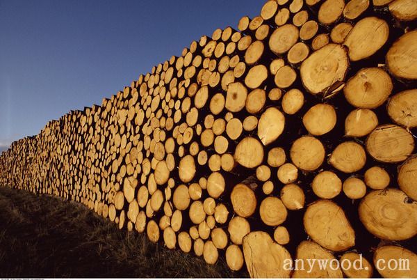批木网anywood.com