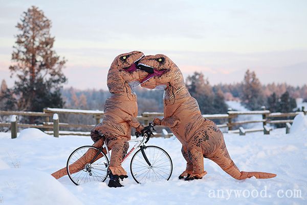 批木网 anywood.com