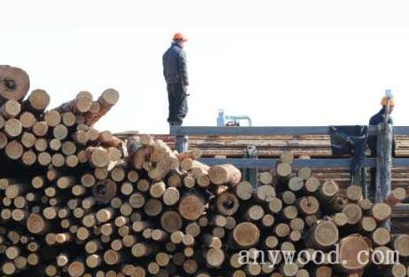 批木网anywood.com