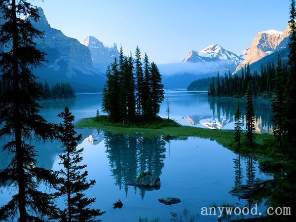 批木网 anywood.com