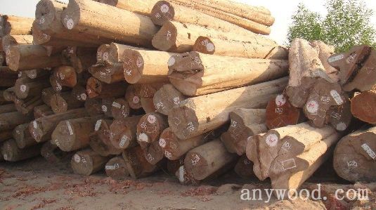 批木网 anywood.com