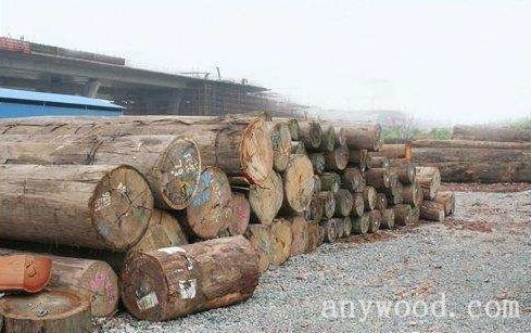 批木网 anywood.com