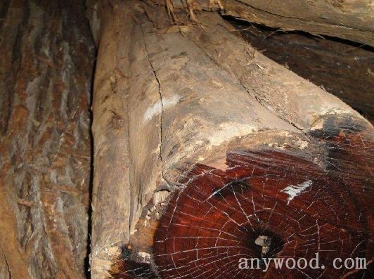 批木网 anywood.com