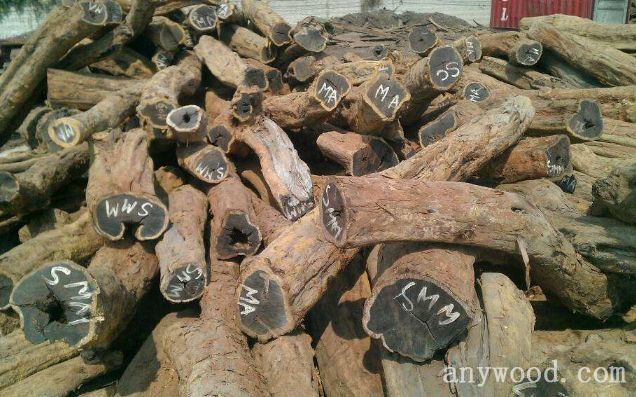 批木网 anywood.com