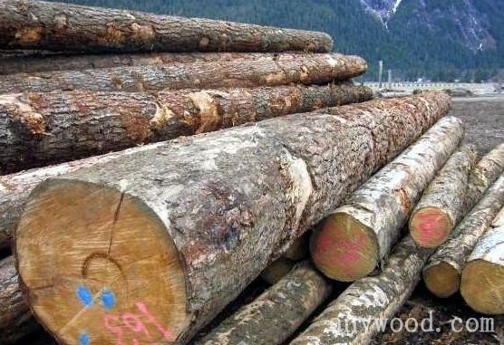 批木网 anywood.com