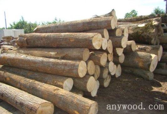 批木网 anywood.com