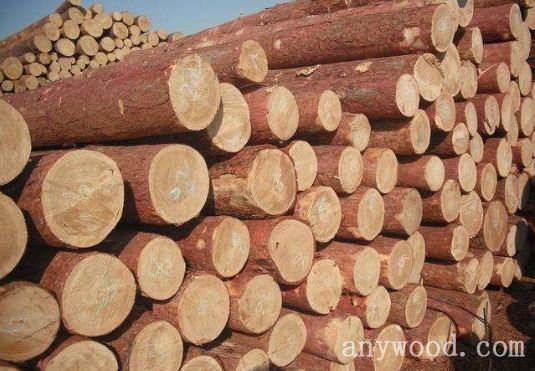 批木网 anywood.com