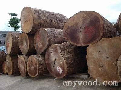 批木网anywood.com