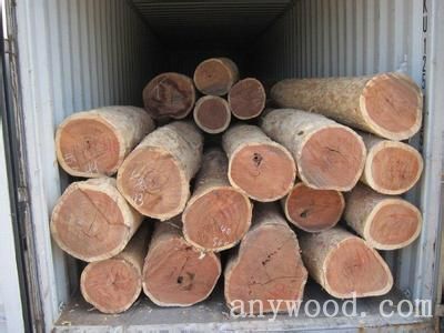 批木网anywood.com