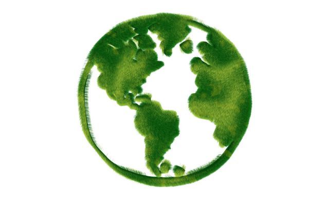 批木网 anywood.com